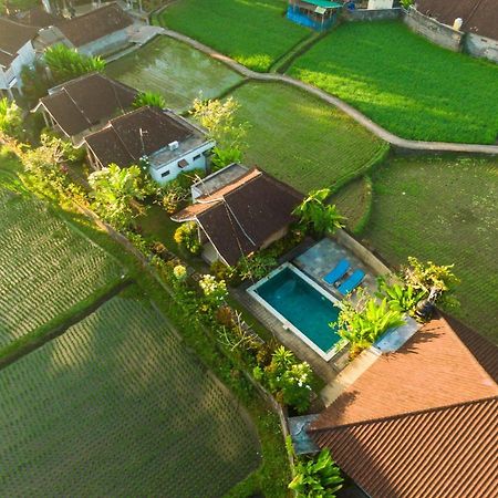 Ubud Glassy Villa By Pramana Villas 외부 사진