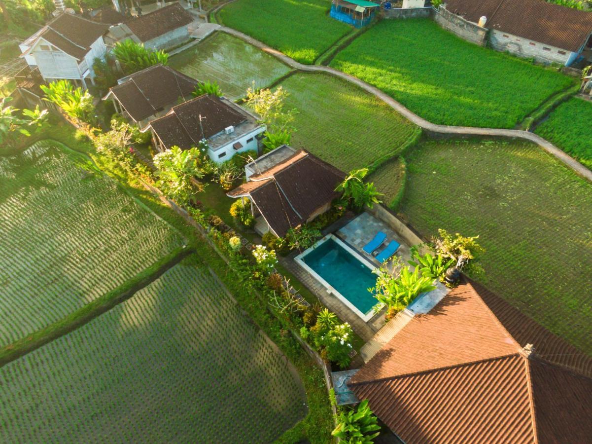 Ubud Glassy Villa By Pramana Villas 외부 사진