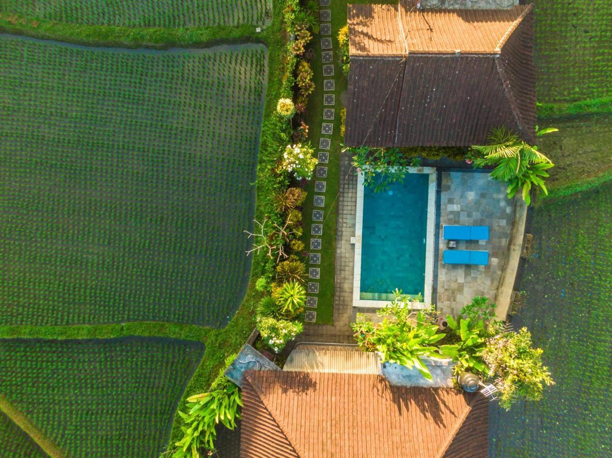 Ubud Glassy Villa By Pramana Villas 외부 사진